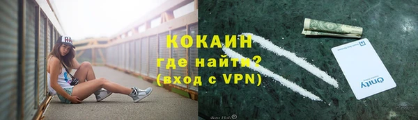 МДПВ Протвино
