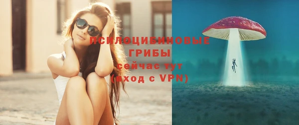 спайс Верея